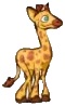 animal art