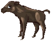 animal art