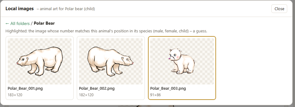 Images inside a folder, one highlighted as the suggested match
