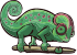 Chameleon female