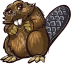 Beaver female