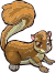 Flying squirrel female
