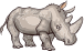 Rhinoceros male