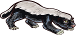 CircleSPR
