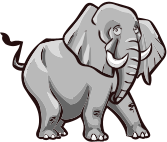 InfoSPR