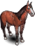 Mustang male