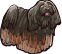 Puli male