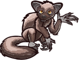 InfoSPR
