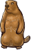 Whiz male