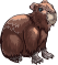 Capybara male