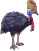 CircleSPR