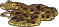 CircleSPR