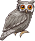CircleSPR