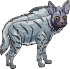 Spotted hyena male