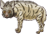 Spotted hyena female
