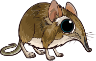 InfoSPR