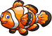 Clownfish male