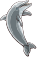 CircleSPR