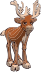 reindeer male